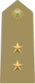 Tenente (Italian Army)[40]