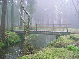 A footbridge in the headlands of the Serra de Santa Bárbara, near Viveiros da Falca