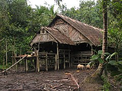 Una Uma, casa comunal tradicional