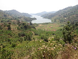 Panorama dalle colline sul lago Kivu