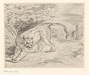 Tigre atrapado, única obra de impresión en vidrio de Eugène Delacroix,1854. Por lo general, se imprime al revés.[8]​