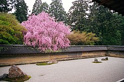 龍安寺的庭園