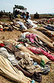 Image 14Bodies of Rwandan refugees who died during the cholera epidemic, October 1994 (from History of cholera)