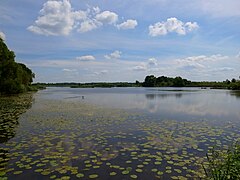 Klieken, Altarm Old Elbe en la reserva natural Saarenbruch Matzwerder