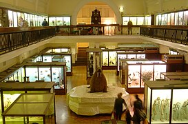 Galerie d'histoire naturelle.