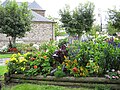 Parterre fleuri devant l'hôtel de ville.