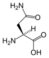 L-Asparaxina (Asn / N)