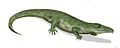 Proterosuchus