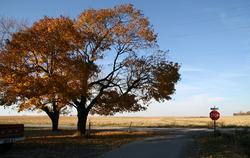 A street corner in the small town of Wadena