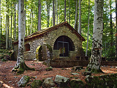 Notre-Dame de la Forêt.