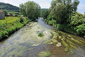 Šieras ties Šarensi-Vezinu (Prancūzija)