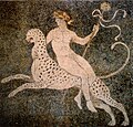 Dionís cavalcant un lleopard, segle iv aC mosaic de Pel·la (Macedònia)