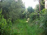 Radweg bei Leubetha (Vogtland), von Adorf kommend