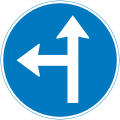 Go straight or turn left