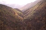 Valle del Torrente Sorbitello