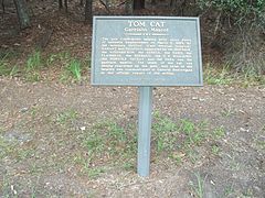 GA Richmond Hill Fort McAllister Tom Cat marker01