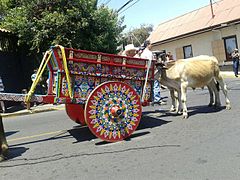 Jour du bœuf à Escazú (Costa Rica) en 2013.