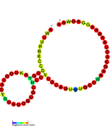 SAM-V riboswitch: Secondary structure for the riboswitch marked up by sequence conservation.