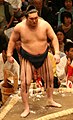 69. Yokozuna Hakuhō (doğum adı: Mönkhbatyn Davaajargal)