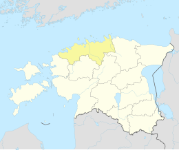 Tammispea (Eesti)