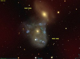 Image illustrative de l’article NGC 2445