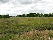 Portrack Meadows with the A19 Tees Viaduct in the distance