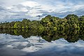 Jaú National Park in Amazon rainforest of Brazil