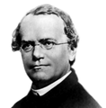 Gregor Mendel overleden op 6 januari 1884