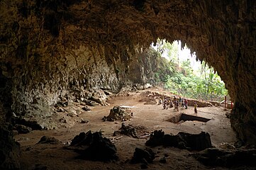 Liang Bua Cave, where the specimens were discovered