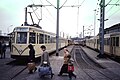 Due tram alla stazione di Ostenda (1982)