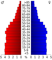 Bevolkingspiramide Bexar County