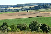 Làndschàft vum Ardre-Tààl zwìscha Crugny un Courville