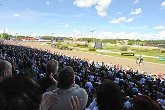 Under Elitloppet 2010.