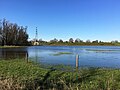 Uiterwaard van de Waal bij Bemmel (Nederland)