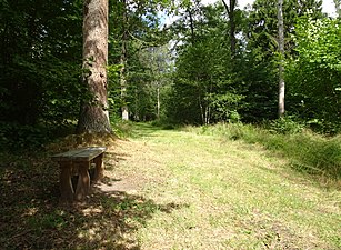 En av gångvägarna i parken.