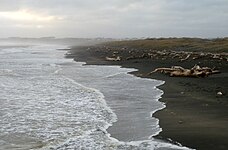 Beach, Whanganui