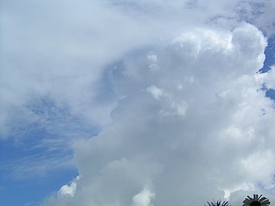 Figure 2 : Cumulus bourgeonnant presque devenu un cumulonimbus