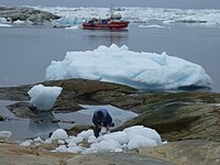 Les travailleurs (cuisiniers, etc.) n'ont qu'à se baisser pour ramasser de la glace pure