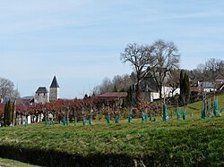 Skyline of Tourtoirac