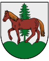 cavallo avelignese passante