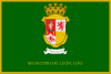 Flag of León