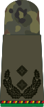 Oberstleutnant d.R. (Mech. infantry reserve)