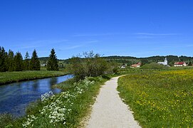 Le Doubs entre la source et le village.