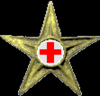 The Medic Barnstar