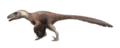 Utahraptor