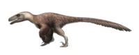 Magot ela Utahraptor.