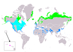 Mapa występowania