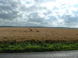 Site of the battle of Azincourt