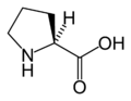 L-Prolina (Pro / P)