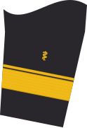 Ärmelabzeichen der Jacke des Dienstanzuges für Marineuniformträger (Humanmediziner).